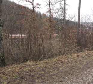 Wildpark Eichert