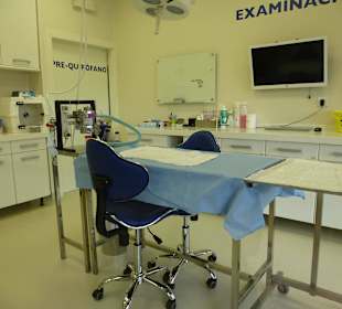 OP Saal für die Tiere