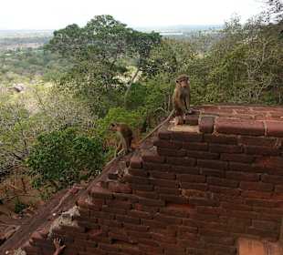 Sigiriya