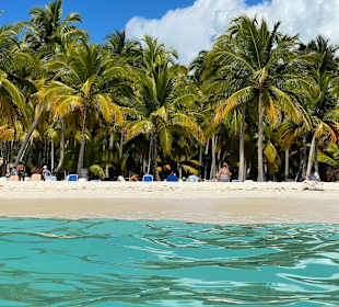 Isla Saona