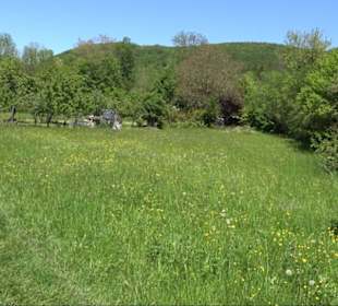 Naturschutzgebiet Taubenäcker