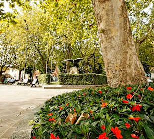 Wandern Desenzano del Garda