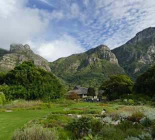 Kirstenbosch, Botanischer Garten