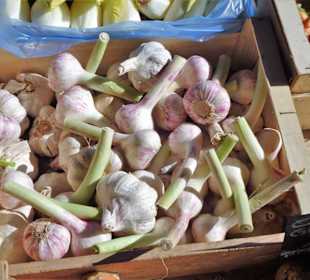 Impressionen vom Obst- und Gemüsemarkt in Figueres