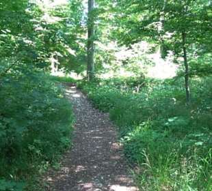 Ruine Hohenmelchingen