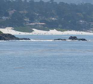 Der Strand vom Natuschutzgebiet aus gesehen 