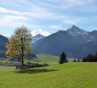 Tannheimer Tal im Herbst