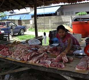 Fleisch