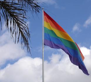 Castro Wolna Dzielnica