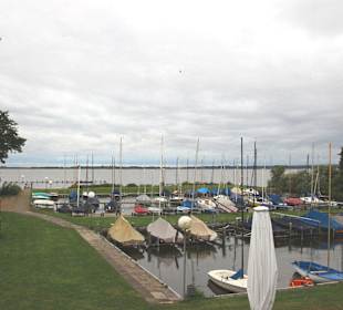 Blick über den Dümmer