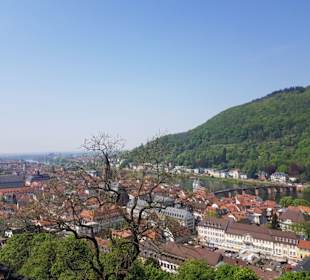 Ausblick auf Heidelberg