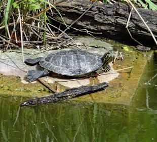 Rundgang im Tierpark