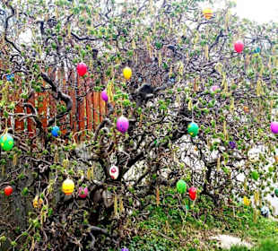 Osterbrunnen in Rohr