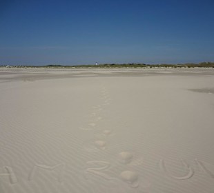 Die unendliche Weite des Kniepsandes