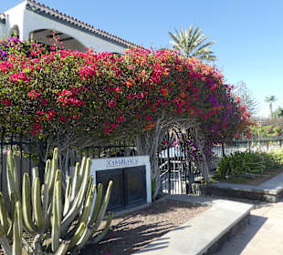 Stadtrundgang Playa del Ingles