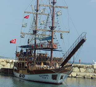 Calypso Vip I im Hafen