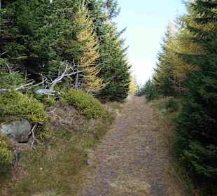 Riesengebirge/Karkonosze