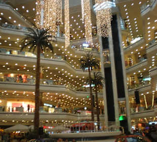 Ein Traum für Frauen 