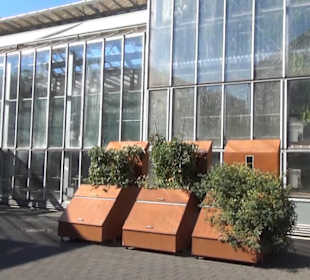 Botanischer Garten 