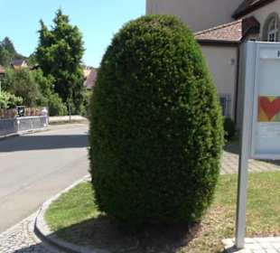 Kirche St. Clemens - Poltringen