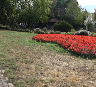 Erlebnispark Tripsdrill