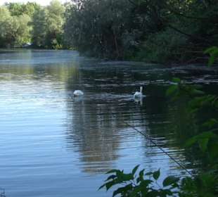 Baggersee Hirschau