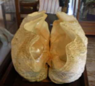 Kloster-Museum Riesenmuschel