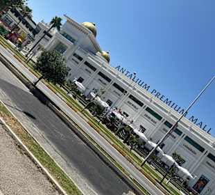 Einkaufen & Shopping