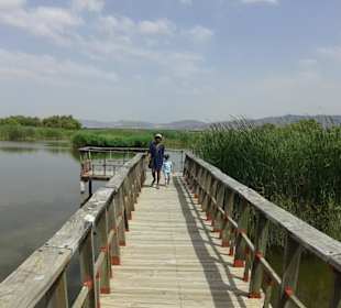 Ojos del Guadiana