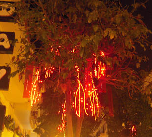 Weihnachtsbeleuchtung