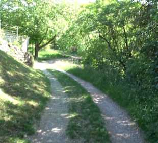 Früchtetrauf - Wurmlinger Kapellenwegle