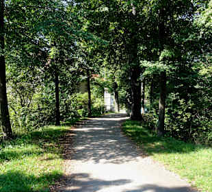 Rundgang über die Stadtwall-Promenade