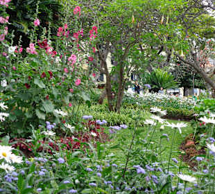 Park in Funchal