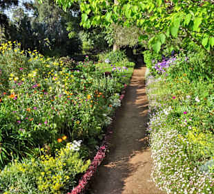 Eindrücke vom Rundgang durch Blandy´s Garden