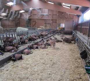 Ferme du Steinbach