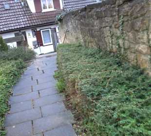 Ev. Pfarramt Mittelstadt