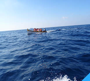 Mehrere Boote fuhren die Gäste