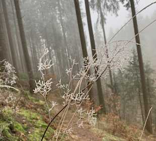 Wandern Bad Sachsa