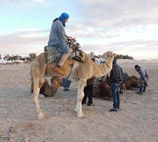 Sonnenuntergangsritt auf Kamelen