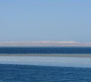 Ein super schönes Riff mit Gebirge im Hintergrund