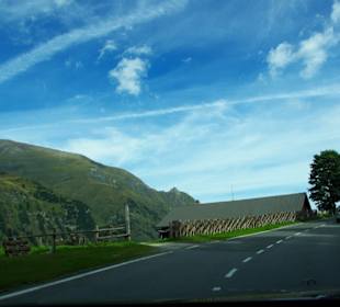 Schon weniger Bäume