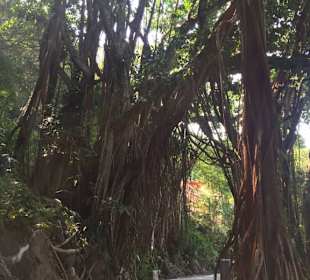 Rundgang auf dem Peak