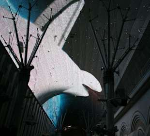 Space Shuttle an der Decke