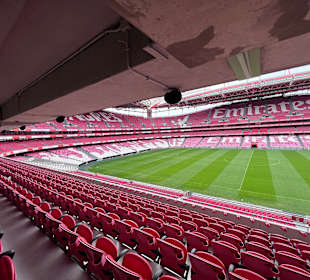Estádio da Luz