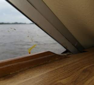 Für 2400 EU pro Woche