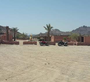 Quad Tour / Beduinendorf