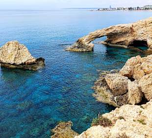 Ayia Napa Bogen Monachus Monachus