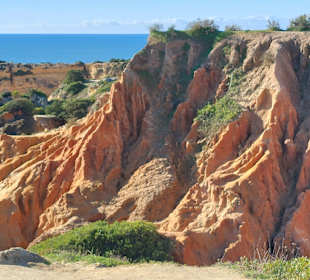 Seven Hanging Valleys Trail 
