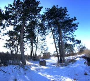 Die Aus- und Ansicht