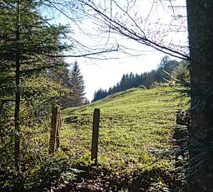 Wandern Oberstaufen